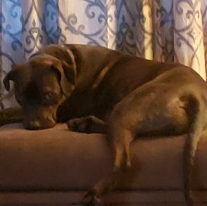 Meet your Posher, Sherry